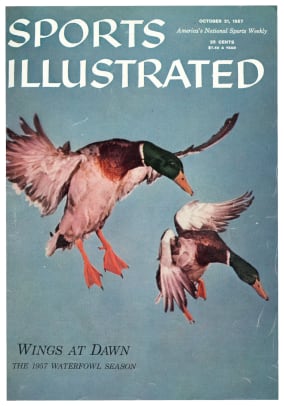 42776 - Cover Image